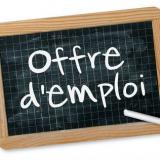 RECRUTEMENT DGS 01-01-23
