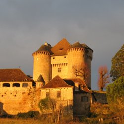 CUREMONTE