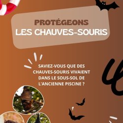 Rénovation complète de la piscine de la Riviera : une attention particulière est apportée à la biodiversité !