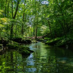 GEMAPI (Gestion des Milieux Aquatiques et la Prévention des Inondations)
